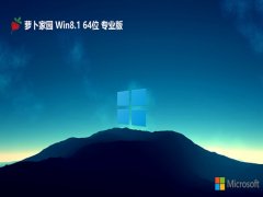 ܲ԰win8.1 64λ ⼤ഺv2024.09